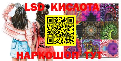 прущие крисы Шахты