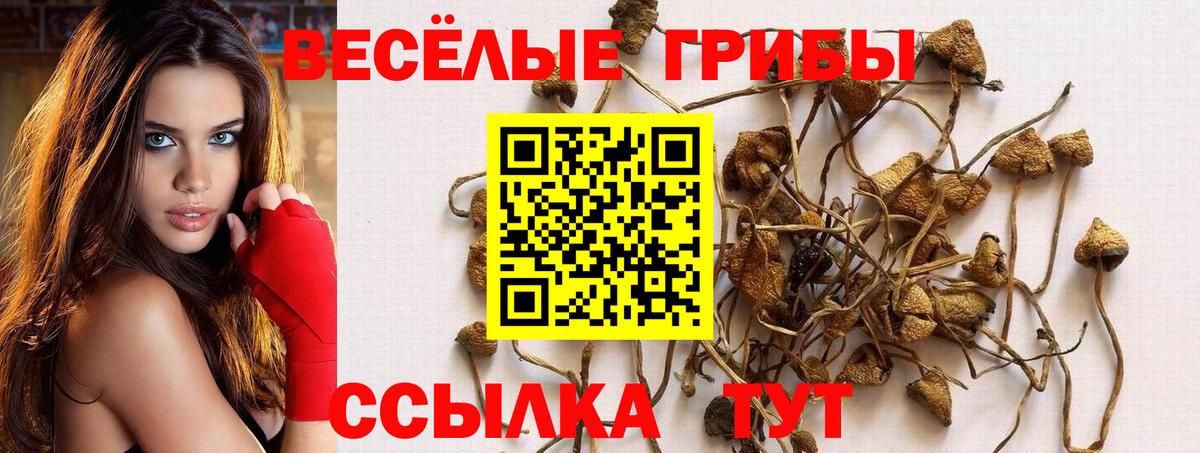 Галлюциногенные грибы прущие грибы Ачинск